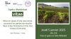 4ème apéro VITAE - Webinaire Interne